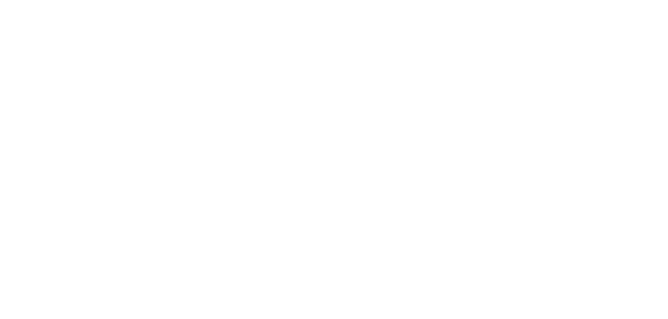 Puppo Architects logo